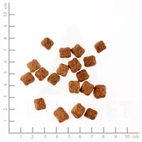 Wolfsblut Trockenfutter Dog Wild Duck Small Breed, 2 kg - Tierbedürfnis: Kein besonderes Bedürfnis - Geschmacksrichtung: Geflügel - Zertifikate: Keine Zertifizierung - Fleischsorte: Ente - Packungsgrösse: 2 kg - Futtereigenschaft: Getreidefrei - Ohne küns