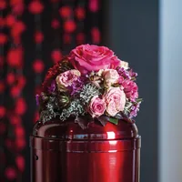 Opiflor 110222 floral arranging supply Floral foam