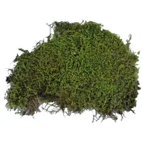 Lucky Reptile Bodensubstrat Vivarium Moss 150 g - Produkttyp Terraristik: Substrate - Terrarienfauna: Tropisch - Material: Waldmoos