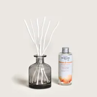 Maison Berger Duftstäbchen Aroma Energy- Zestes Toniques 180 ml - Duft: Ananas - Frisch - Fruchtig - Grapefruit - Moschus - Orange - Pfirsich - Volumen: 180 ml