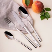 Sola Avignon 36 pc(s) Knife/cutlery case set