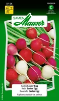 Samen Mauser Samen Radies Easter Egg - Aussaatzeit: April - August - Juli - Juni - Mai - September - Sonneneinstrahlung: Sonnig - halbschattig - Saattyp: Saatgut - Gemüsegruppen: Knollen- und Wurzelgemüse - Erntezeit: April - August - Juli - Juni - Mai - 
