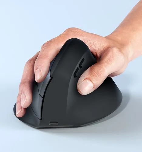 Equip Ergonomische Maus DM 2.4GHzBT 6Button Rechts schwarz