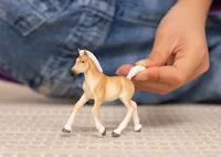 Schleich Horse Club Haflinger Fohlen           13951