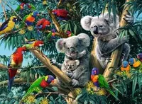 Ravensburger Puzzle Koalas im Baum - Motiv: Tiere - Altersempfehlung ab: 12 Jahren - Tiefe: 36 cm - Breite: 49 cm - Effekte: Keine - Eigenschaften: Keine Eigenschaft