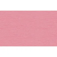 URSUS Tonzeichenpapier A4, 130 g/m², 100 Blatt, Altrosa - Papierformat: A4 - Selbstklebend: Nein - Papierfarbe: Altrosa - Papiertyp: Tonzeichenpapier - Mediengewicht: 130 g/m² - Verpackungseinheit: 100 Stück
