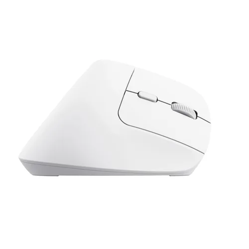 Trust Bayo+ mouse Office Right-hand RF Wireless + Bluetooth Optical 2400 DPI