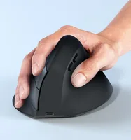 Equip Ergonomische Maus DM 2.4GHzBT 6Button Rechts schwarz