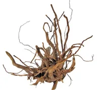 AMAZONAS Dekoration Finger-Wurzel S, 20-30 cm - Einrichtung: Wurzeln & Gestein - Material: Holz