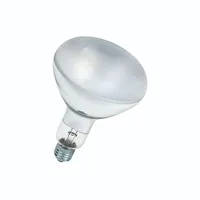 Osram UV27230300F/02 incandescent bulb 300 W