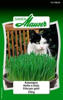 Samen Mauser Samen Katzengras 250g - Aussaatzeit: April - August - Dezember - Februar - Januar - Juli - Juni - Mai - März - November - Oktober - September - Sonneneinstrahlung: Sonnig - halbschattig - Saattyp: Saatgut - Gemüsegruppen: Kräuter - Erntezeit: