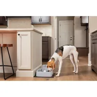 PetSafe Wasserautomat Drinkwell Trinkbrunnen PET, 3.7 l - Detailfarbe: Grau - Tierart: Katze - Hund - Produkttyp: Wasserautomat