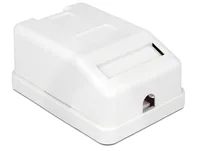 DeLOCK 86235 electrical box White