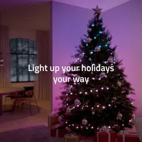 Hombli smartes Weihnachtslicht RGB