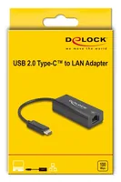 DELOCK USB 2.0 Type-C Adapter zu 10100 Mbps LAN