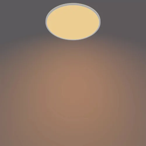 Philips by Signify Funzionale 8719514327146 illuminazione da soffitto LED