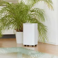 Ecofort ecoQ DryAir 12L Essential 2 L 38 dB 200 W White