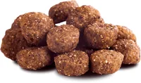 The Goodstuff Trockenfutter Geflügel Adult 2.5kg - Tierbedürfnis: Kein besonderes Bedürfnis - Nachhaltigkeit: Nicht angegeben - Lebensphase: Adult - Produkttyp: Alleinfutter - Packungsgrösse: 2.5 kg - Fleischsorte: Huhn
