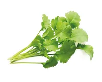 Click and Grow Samen Kresse Nachfüllpackung 3er-Set - Bio: Nein - Sonneneinstrahlung: Hell und warm - Aussaatzeit: August - Juni - April - Februar - März - Mai - Oktober - Dezember - September - Januar - November - Juli - Gemüsegruppen: Kräuter - Saattyp: