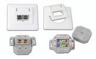 Wirewin Datendose RJ-45 Cat.5e 2-fach - Detailfarbe: Weiss - Montage: Unterputz - Serie: Standard - E-Nr.: 0 - Schirmung: Ja - Schnittstellen: 2x RJ-45 - LSA