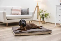 Kerbl Multifunktionsmatratze 72 x 50 x 5 cm - Produkttyp: Bett - Tierart: Hund - Detailfarbe: Braun - Breite: 72 cm - Länge: 50 cm