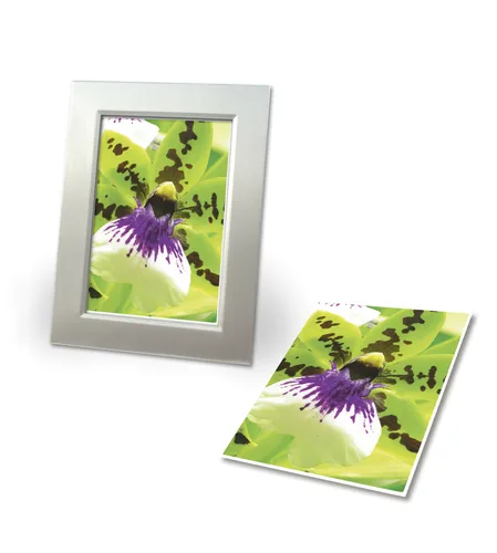 AVERY ZWECKFORM InkJet Fotopapier A4 2559-20 250g,matt, weiss 20 Blatt