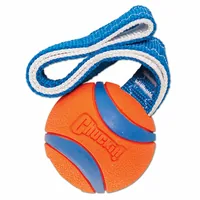 Chuckit! Hunde-Spielzeug Ultra Tug S, Ø 5.5 cm - Produkttyp: Spielzeug - Tierart: Hund