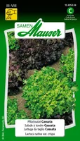 Samen Mauser 10495404 vegetable seed Salad