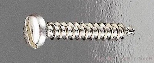 R.E.M. Modellbau 10030 screw/bolt 6.5 mm 10 pc(s)