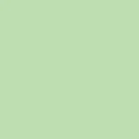 PAPYRUS Rainbow Papier FSC A4 88043111 mittelgrün, 120g 250 Blatt