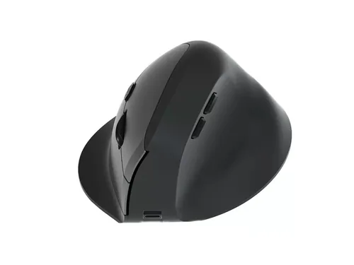 Equip Ergonomische Maus DM 2.4GHzBT 6Button Rechts schwarz