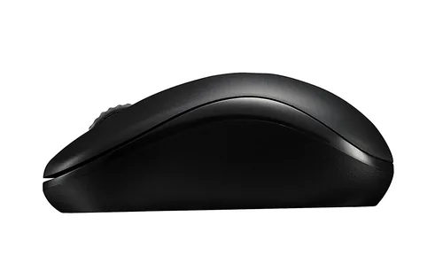 Rapoo M10 Plus mouse Ufficio Ambidestro RF Wireless Ottico 1000 DPI