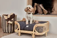 OYOY Seilspielzeug Otto, Mellow - Produkttyp: Spielzeug - Tierart: Hund