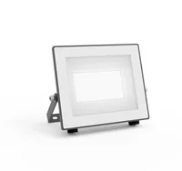 Philips 8720169365322 outdoor lighting LED