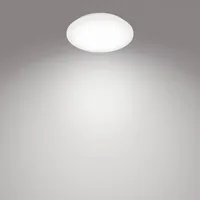 Philips Functional Moire Ceiling Light 10 W