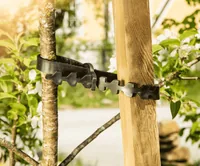 Windhager Gummi-Baumanbinder, 2 Stück - Zubehörtyp: Bindfaden - Detailfarbe: Schwarz
