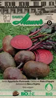 Samen Mauser 12393204 vegetable seed Beetroot