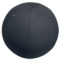 Leitz Sitzball Ergo Active 55 cm, Dunkelgrau - Material: Polyester - Belastbarkeit: 120 kg - Sitzhöhe: 55 cm