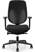Giroflex 353 Padded seat Mesh backrest